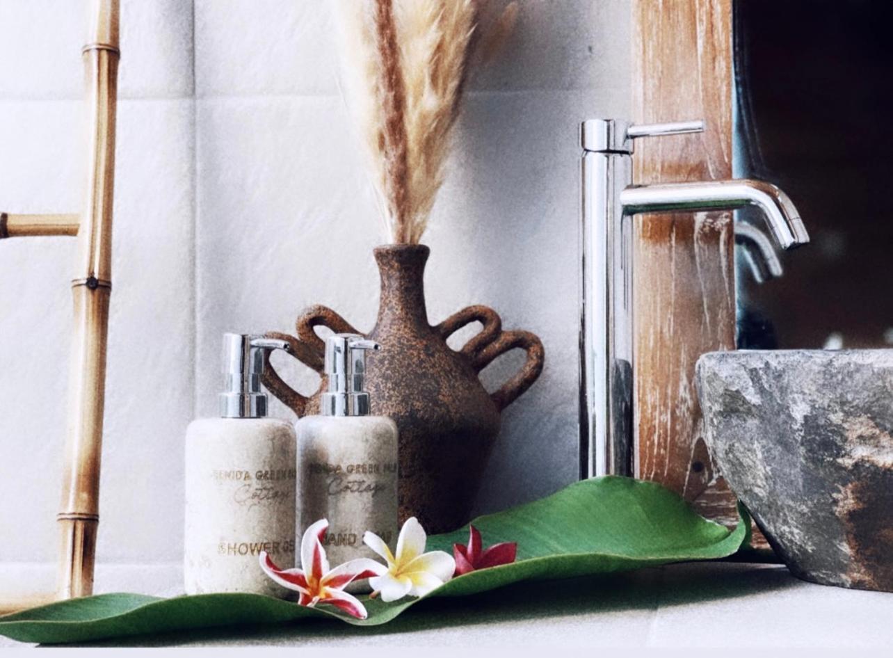 Penida Green Palm Cottage By Bali Cabin Toyapakeh Екстер'єр фото